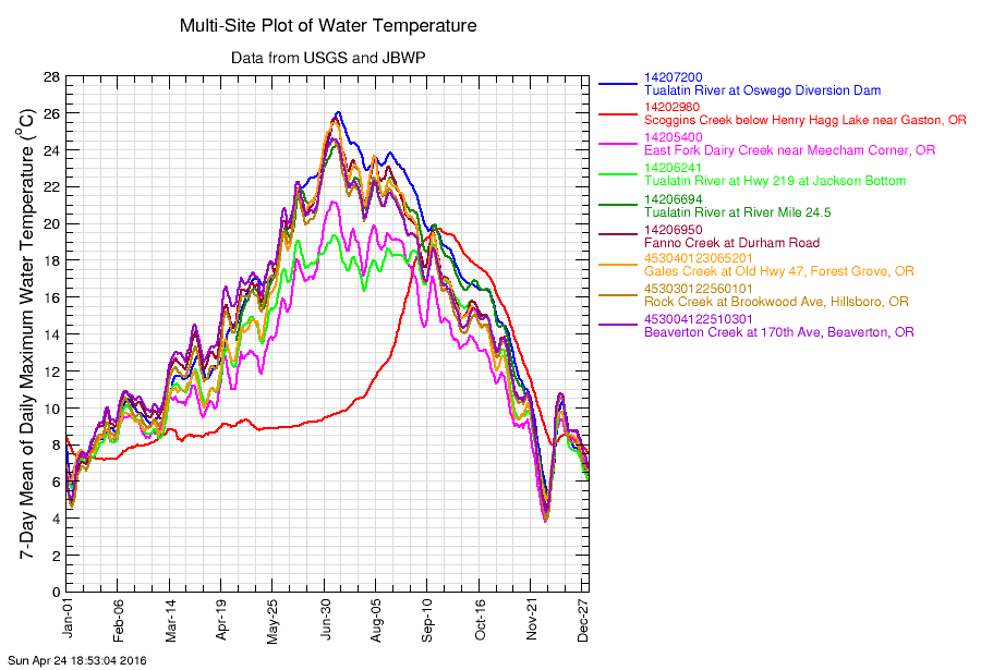 multi-site time-series graph
