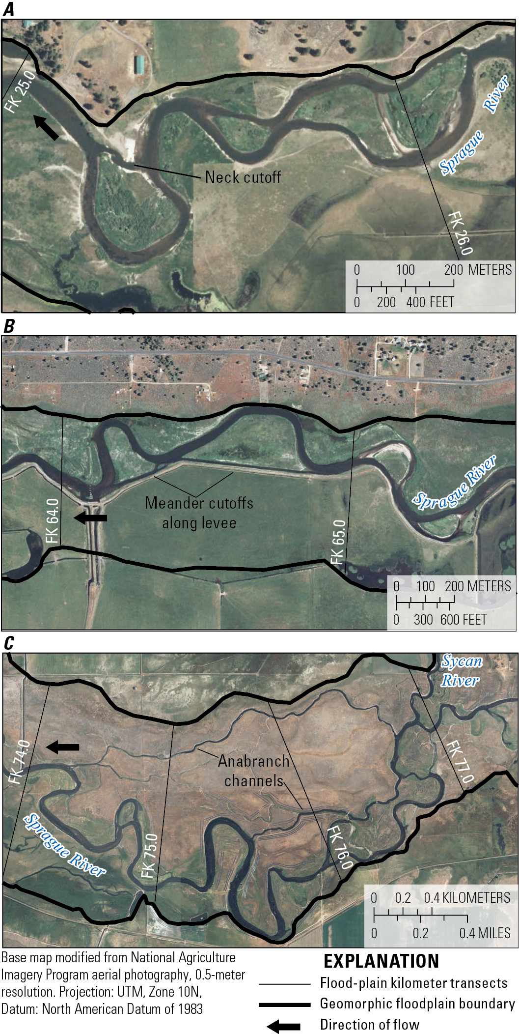 Examples of meander cutoffs, avulsions, and anabranches