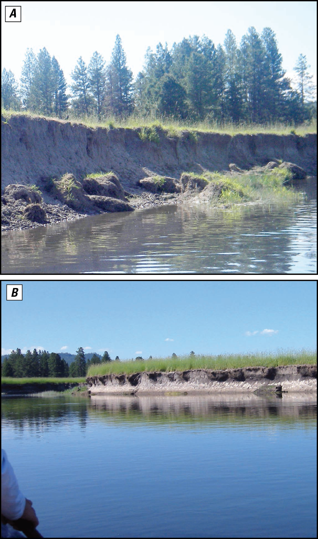 Examples of bank erosion