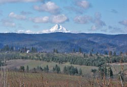 image: mt_hood1.jpg