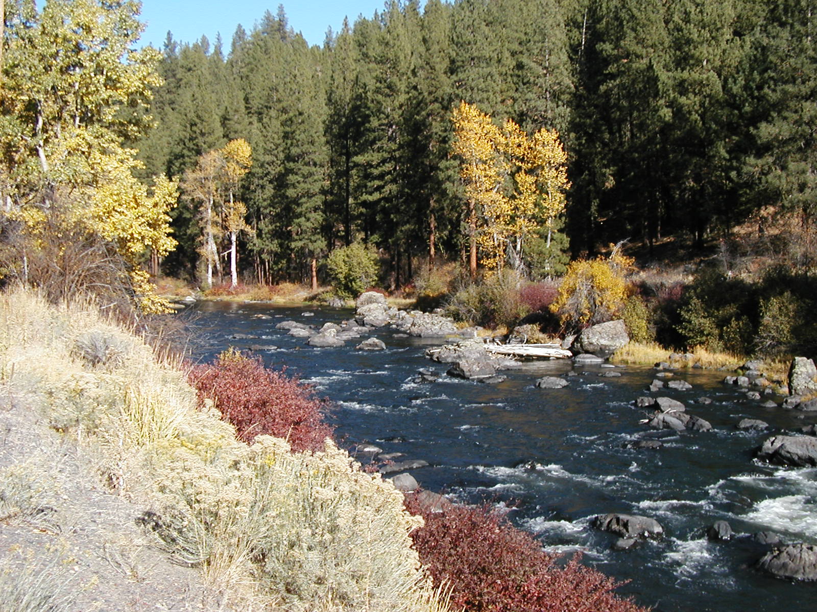 Sprague River