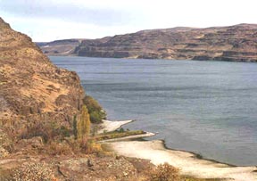 Exposure of the Pomona member of the Columbia River Basalt Group in the Umatilla Basin