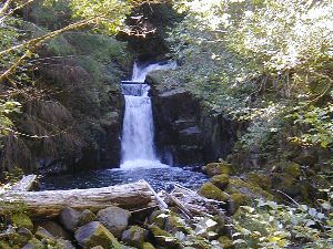 image: haines_falls.jpg